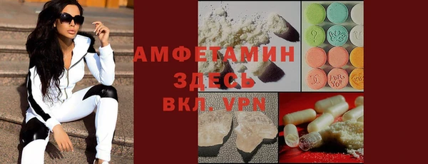 шишки Аркадак