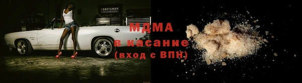 шишки Аркадак
