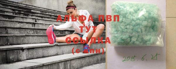 шишки Аркадак