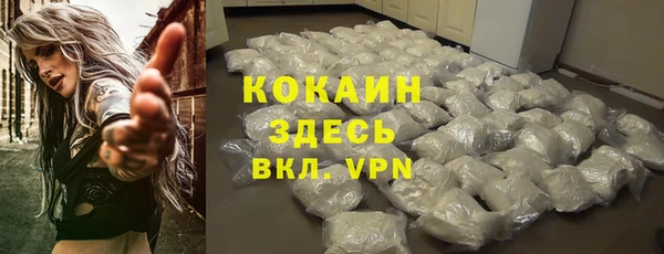 шишки Аркадак