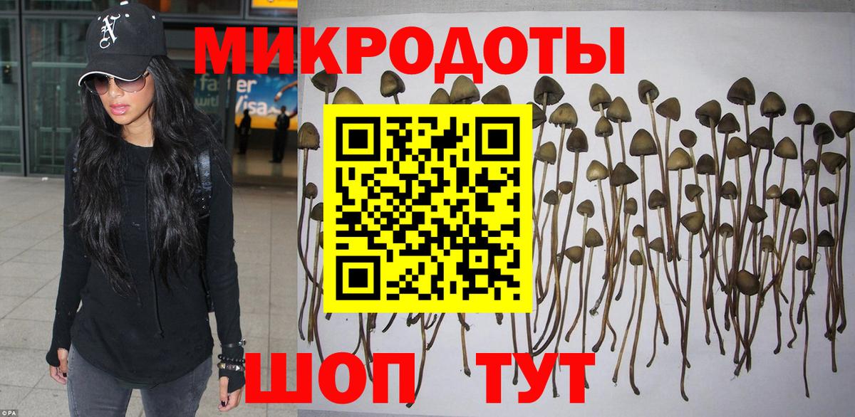 Галлюциногенные грибы Psilocybe Губаха