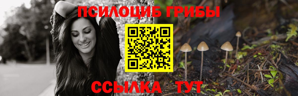 Галлюциногенные грибы прущие грибы  Вход с VPN  где купить наркоту  Губаха 