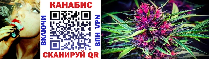 Конопля индика Губаха